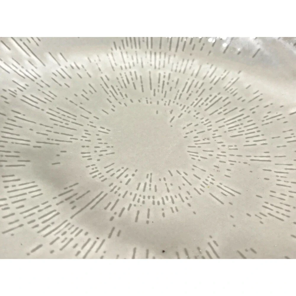 Schönwald Germany 620 Porcelain Plate Set of 4 Radial Pattern Gray‎ Frost Shiro